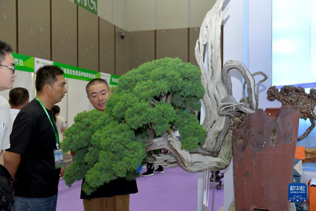 ag 下载